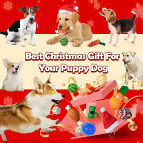 Paws & Claus Advent Calendar