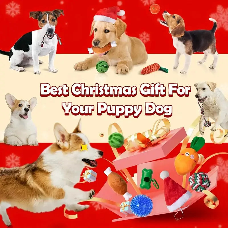 Paws & Claus Advent Calendar