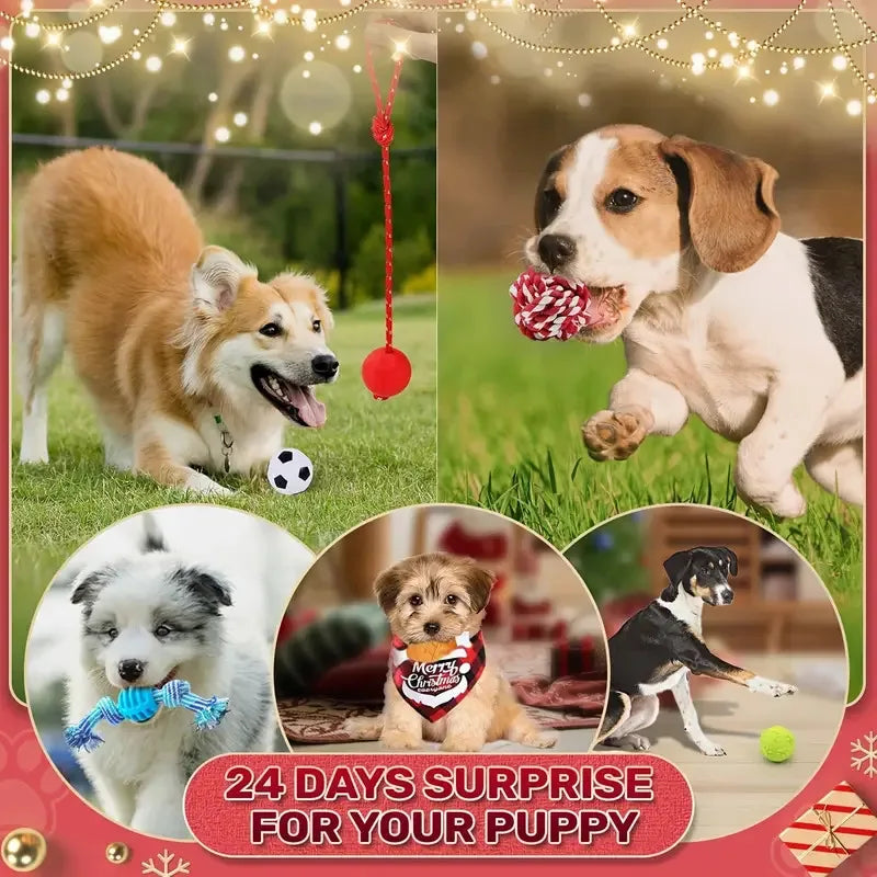 Paws & Claus Advent Calendar