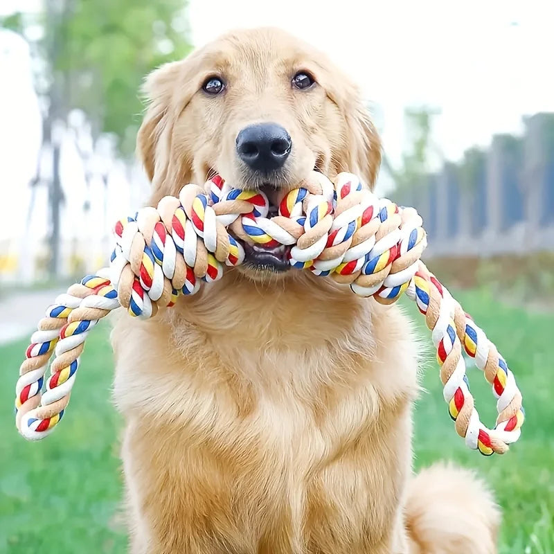 ChewMaster Rope Tug